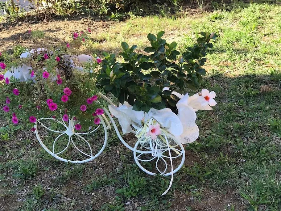 Apartamento Casa Isabelle Canneto   Canneto (Florence)